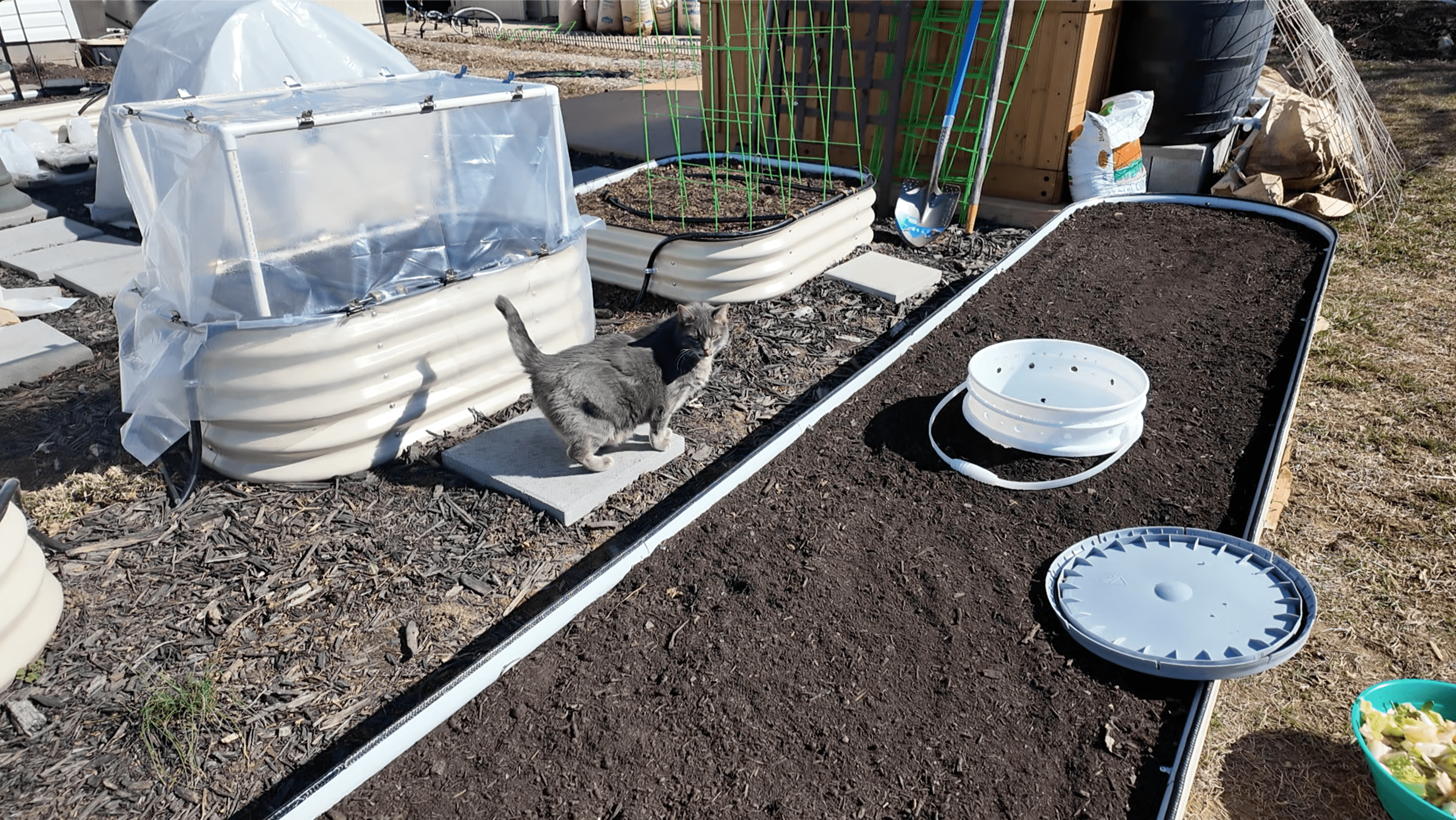 buried bucket in a raised bed