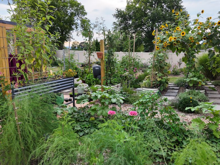 garden in a small backyard