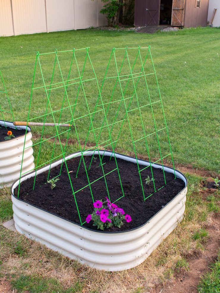 raised beds with a-frame trellises