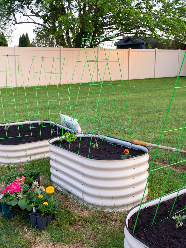 raised beds with a-frame trellises