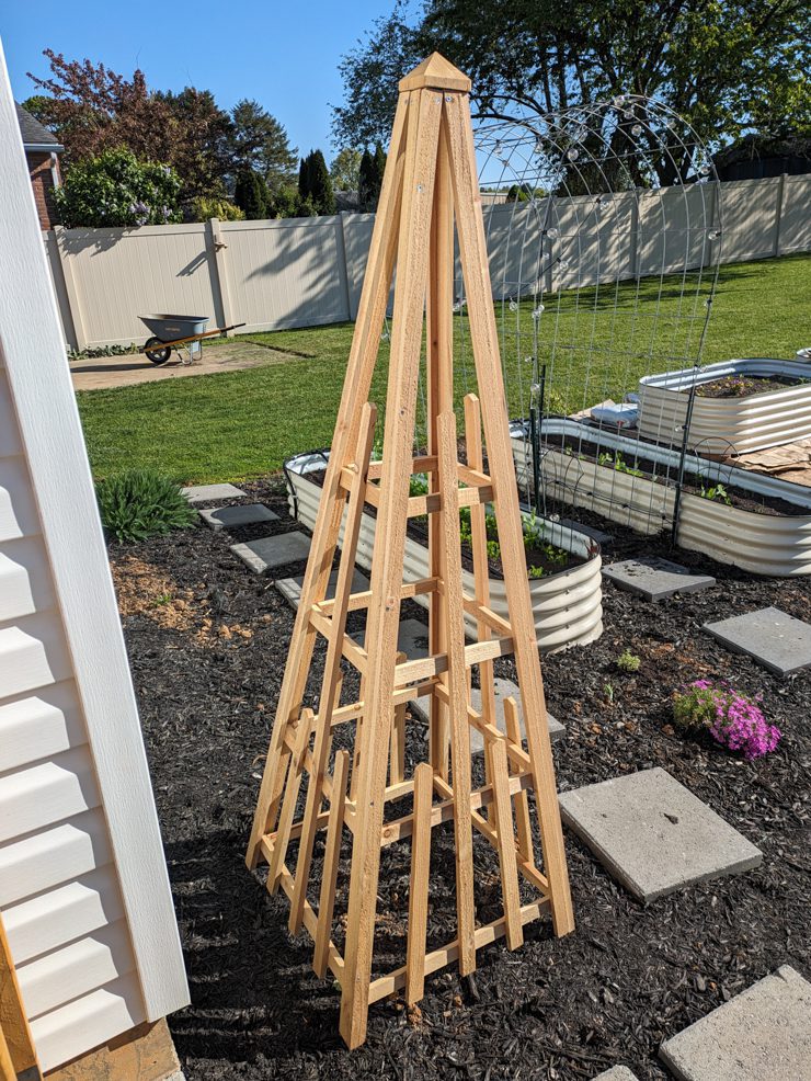 wooden obelisk trellis