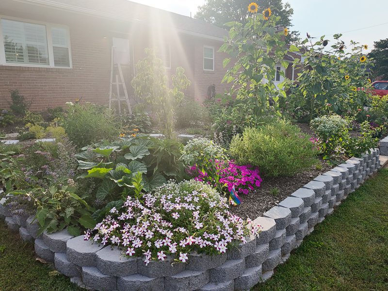 landscaped front yard