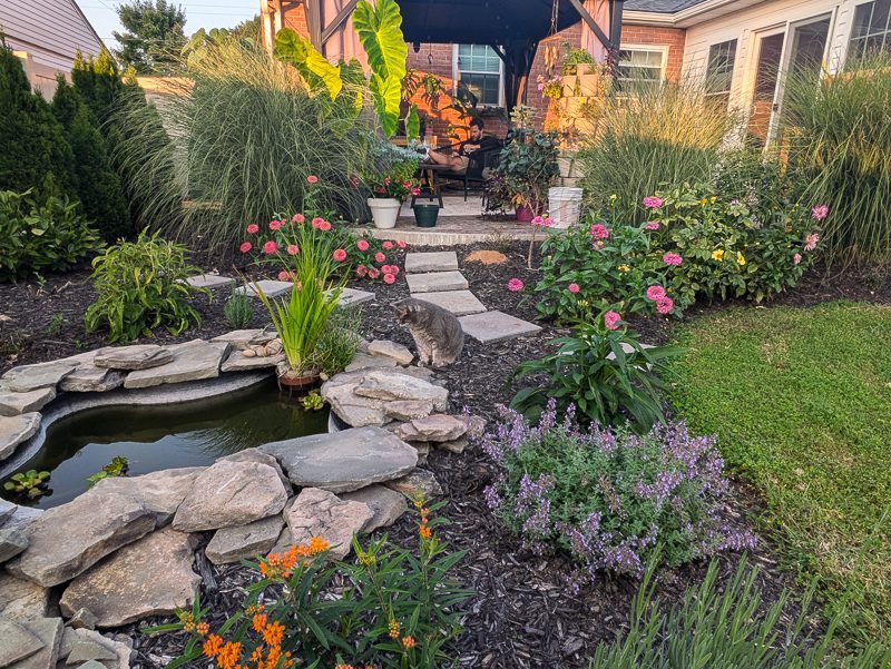 small pond and colorful landscaping