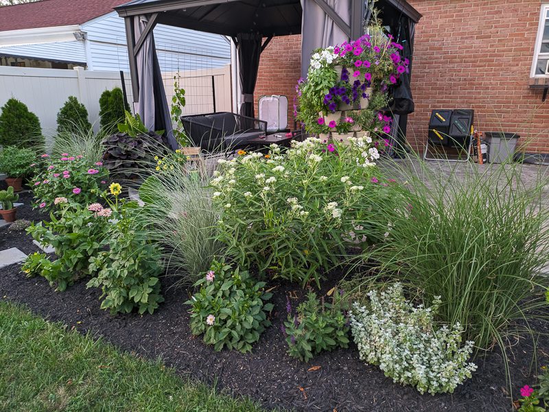 landscaping around a patio