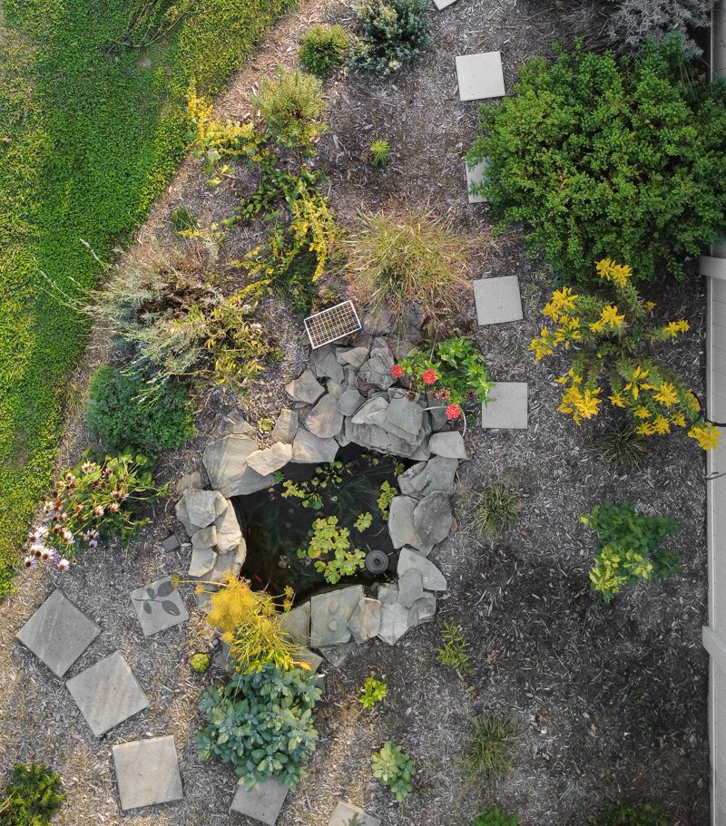 overhead view of a pond with landscaping