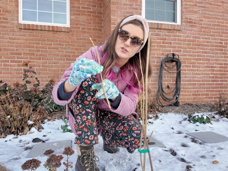 woman holding a currant cutting