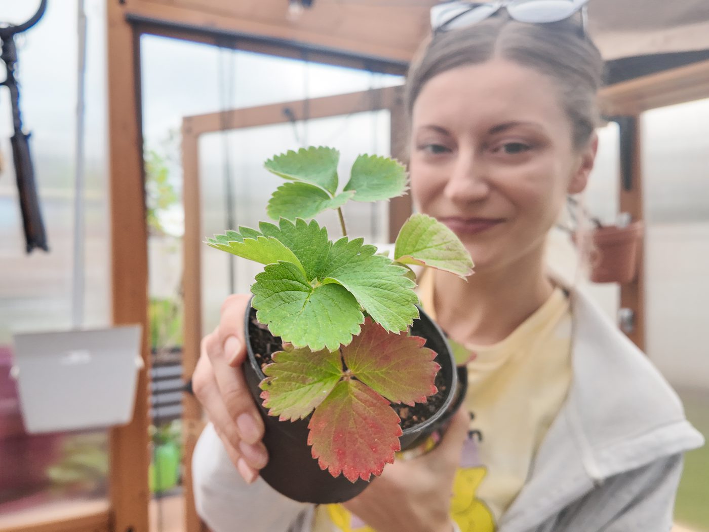 woman holding a potted strawberry plant